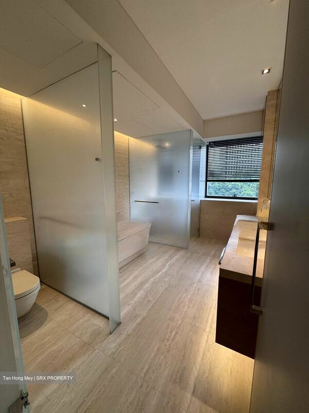 Hana (D10), Condominium #497122981